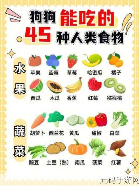 人狗胶配方大全狗狗一天吃多少,宠物食谱攻略:狗狗营养胶制作与喂养指南