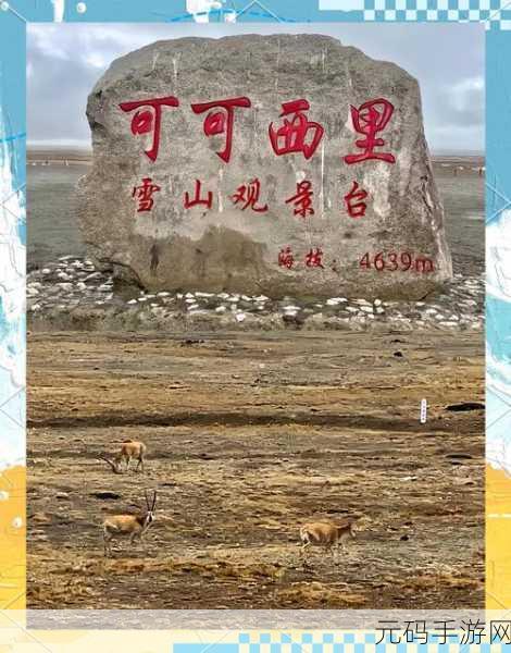 可可西里大但人文艺术,可可西里:探秘荒野艺术