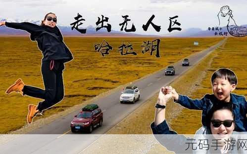 国产无人区码卡二卡三,荒野探险:神秘卡牌寻踪