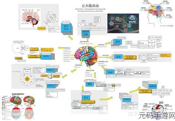 性别 自由 凸轮 管脱垂,性别自由 直播间
