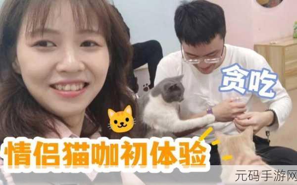 新游戏发布资讯，网红撸猫馆——休闲模拟经营猫咖的梦幻之旅
