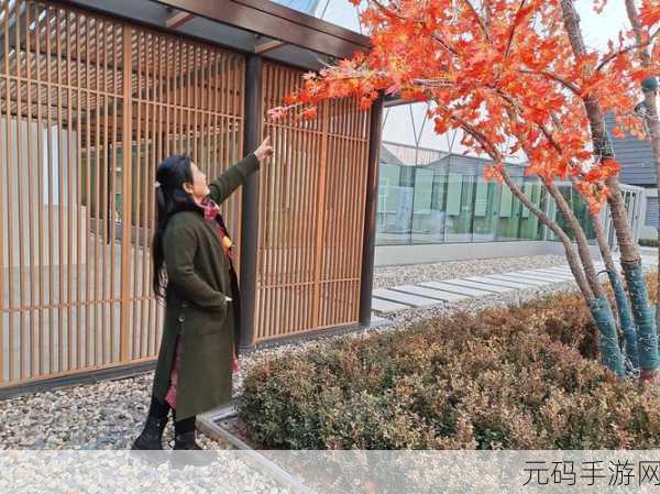 伊甸园一路二路三路四路,伊甸园多路通行攻略