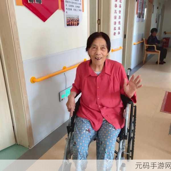 老人小处 女HD老人,老年人的温馨生活