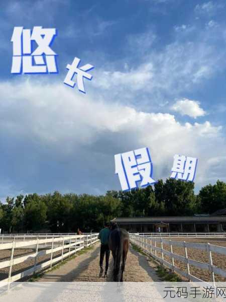 悠长假期协会订单,用途大揭秘!