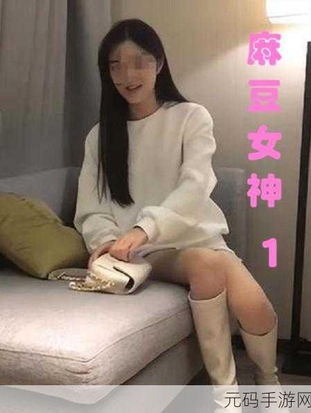 麻豆入口，精品内容