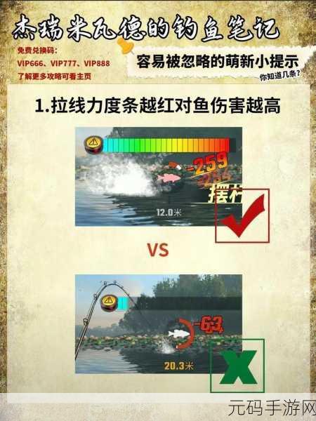 欢乐钓鱼大师锦标赛,高分秘籍大揭秘