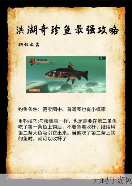 欢乐钓鱼大师锦标赛,高分秘籍大揭秘