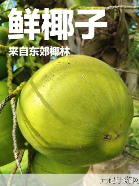 心动小镇椰子采摘秘籍大公开