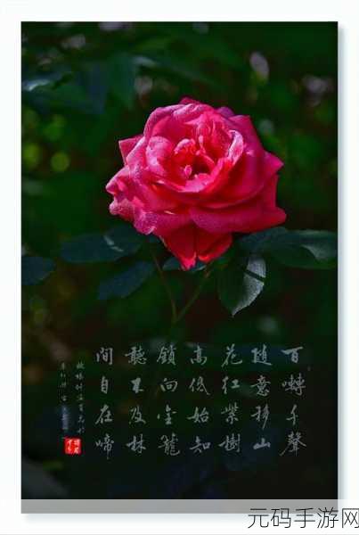 亭亭玉立国色天香四月天科普,花语图鉴:四月绽放的国色天香