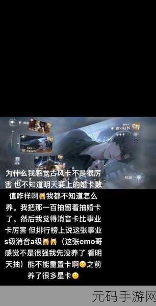 探秘世界之外，易遇谓我何求侧影全解析