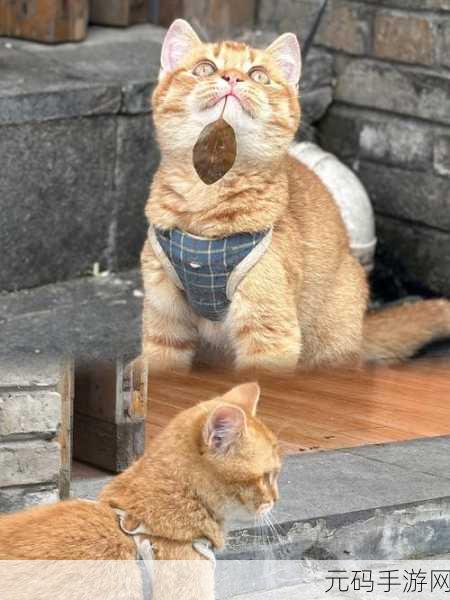 小猫咪大城市,解锁找到变色龙成就的终极指南
