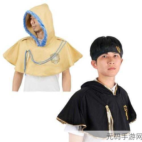 海角社区披风封神妈妈稿件，海角社区：妈妈玩家的披风养成之旅
