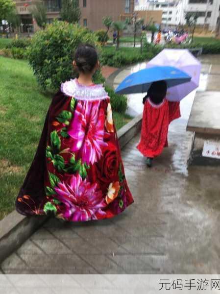 海角社区披风封神妈妈稿件，海角社区：妈妈玩家的披风养成之旅