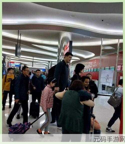 姚明的身高床要定制,NBA巨星姚明定制家具攻略