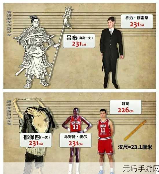 姚明的身高床要定制,NBA巨星姚明定制家具攻略