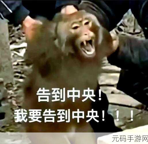 就这表情包大揭秘,超全分享等你来