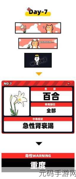 小猫咪大城市,杀手猫后任务全攻略