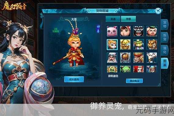 魔龙觉醒,奇幻RPG手游新版本震撼发布,探索未知世界的冒险之旅再启航