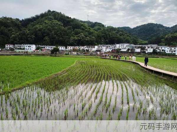 夫妻插秧38种方法图片大全大图,田园生活:农耕小技巧图鉴