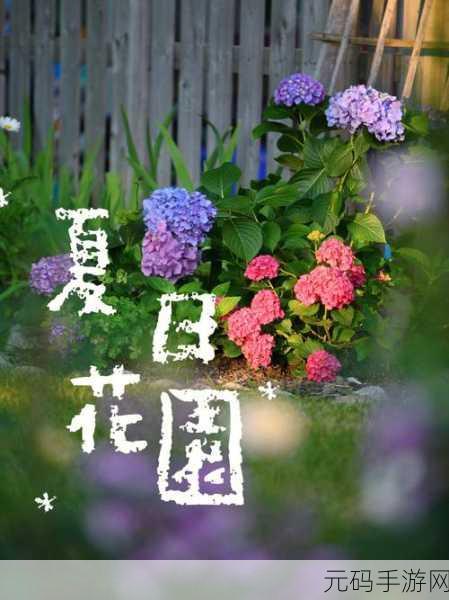 老公昨天晚上吃我小花园，花园主人的烦恼日记