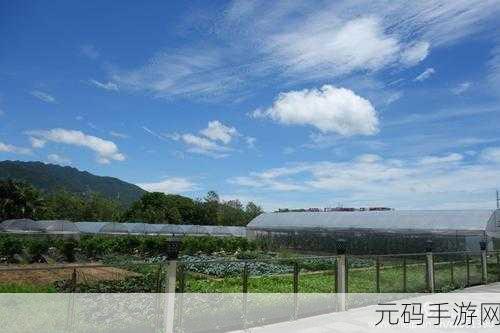 爷爷的开心农园手游新版本发布,打造你的梦幻田园,享受悠闲经营之旅