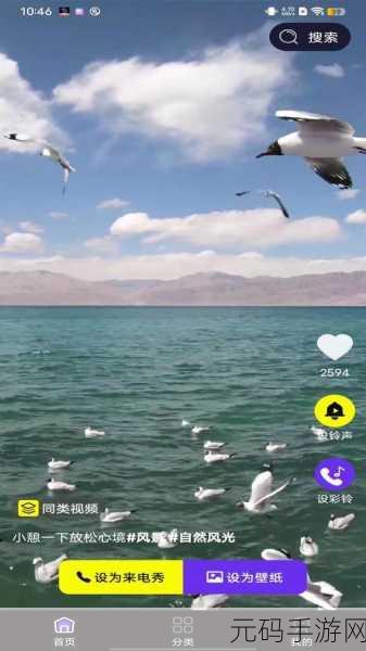 国产精品星空传媒XK8004,星空传说:寻梦之旅