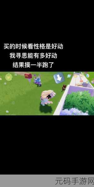 心动小镇养猫秘籍,轻松完成养猫任务