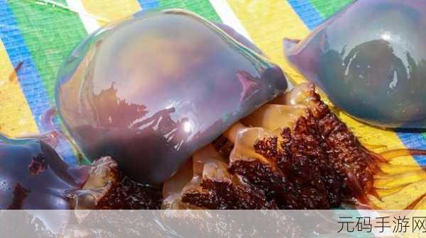 烟雨江湖,烹饪海蜇炒肉仅需 6 体力,秘诀在此!