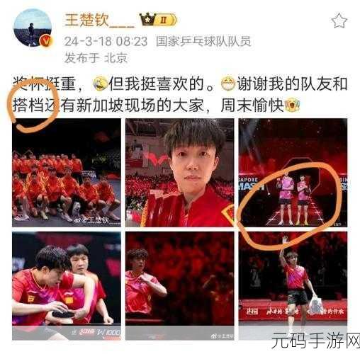 王楚钦女朋友李欣个人资料,王楚钦恋情揭秘:新晋女友李欣完整档案