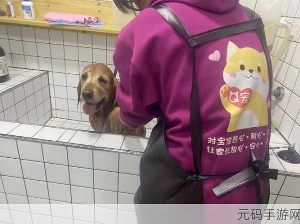 萌宅物语免广告版震撼发布，打造你的梦幻宠物家园