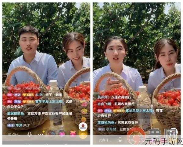 樱桃剧情直播，樱桃剧情互动
