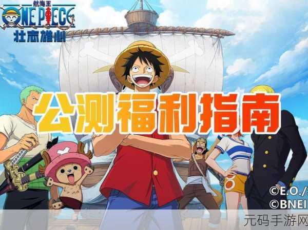 航海王,壮志雄心 顶级船只大揭秘与选择指南