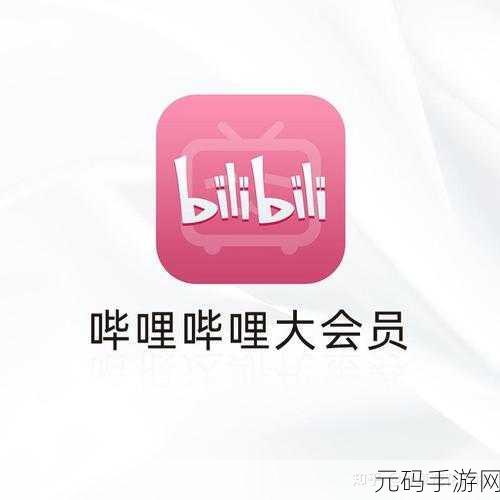 b站大全永久免费2024,哔哩哔哩视频免费观看器
