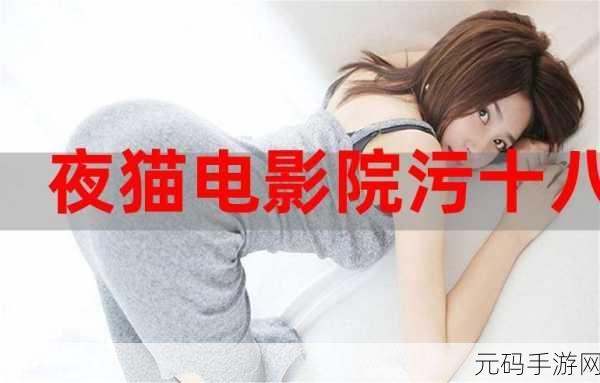 视频下载污片,精彩视频下载器