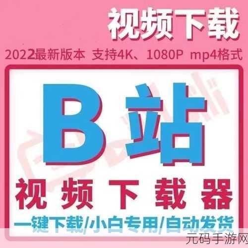 视频下载污片,精彩视频下载器