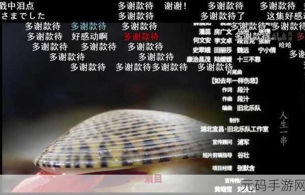 中国2018年最好看的字幕,2018年度热门手游弹幕精选