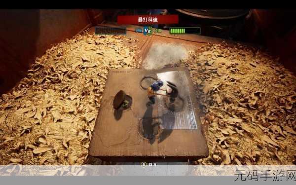 暴躁哥暴躁姐,暴走兄妹:热血对决