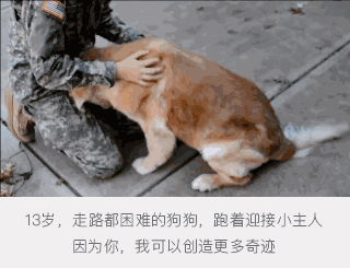 生猴子的全过程不盖被子，萌宠成长记：小猴子的诞生奇迹