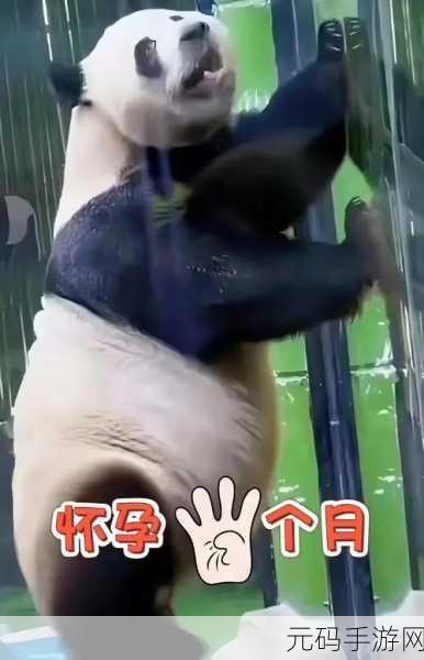 猪和阴曹地府有关系吗,阴曹地府:猪为何成为冥界使者?