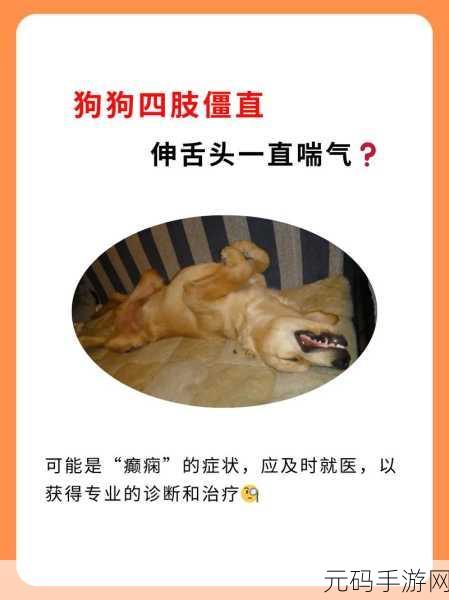 一边伸舌头一边快速喘气文字,狗狗快乐冲刺