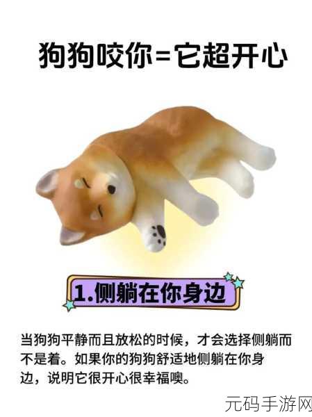 一边伸舌头一边快速喘气文字,狗狗快乐冲刺