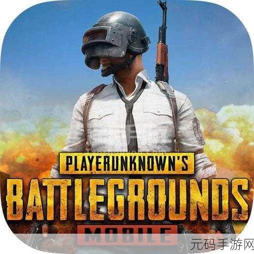 pubg外挂检测机制,手游防护系统:保障公平竞技体验