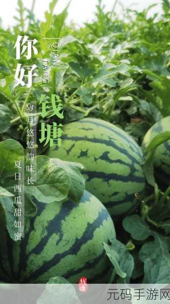 51cgworld朝阳群众今日吃瓜,吃瓜大作战:朝阳群众集结