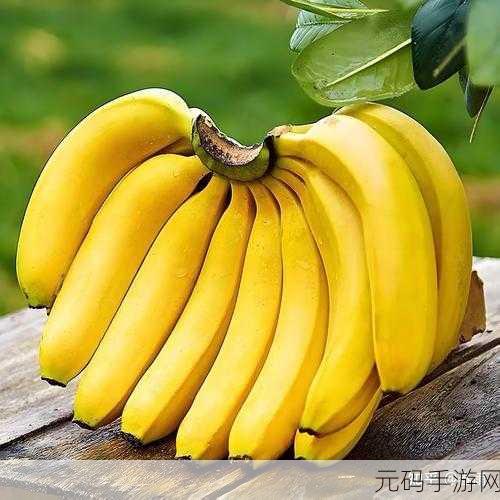 香蕉视频999,香蕉视频-超多精彩短视频