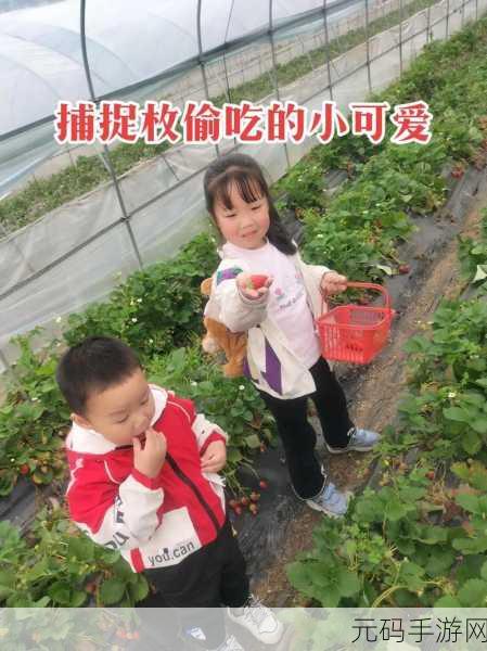 草莓视频高清,草莓时光 - 精彩视频合集
