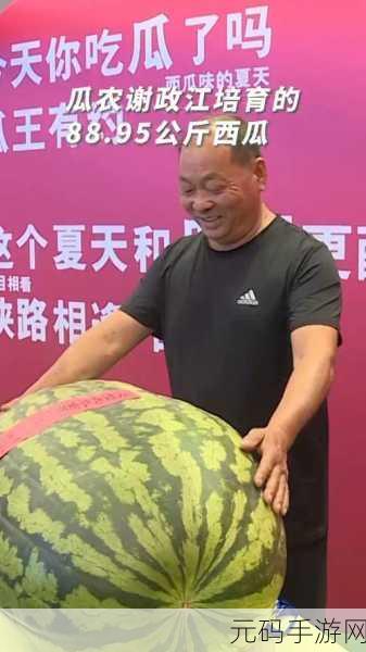 51今日吃瓜事件黑料，今日瓜王 - 热门八卦速递