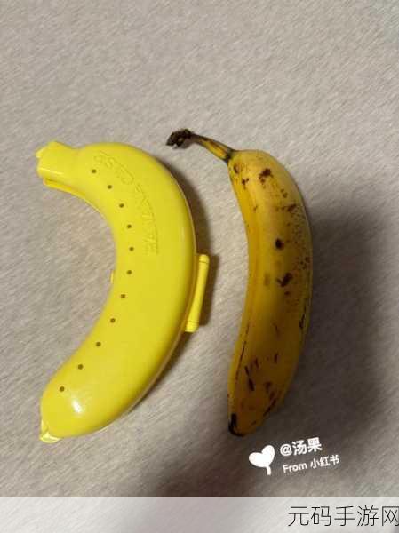 www.香蕉视频，香蕉视频盒子