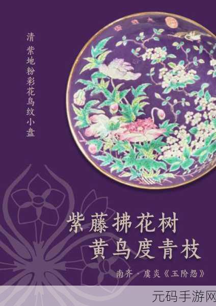 999色色,缤纷色彩大师