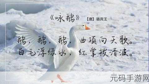 一鹅当先,御鹅冲锋