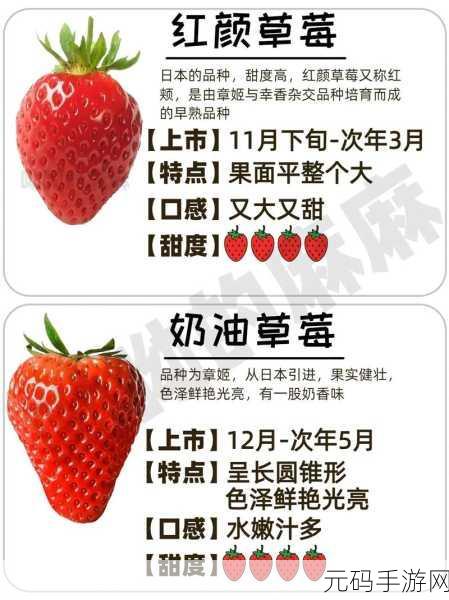 呦呦咨询网草莓视频,甜心草莓